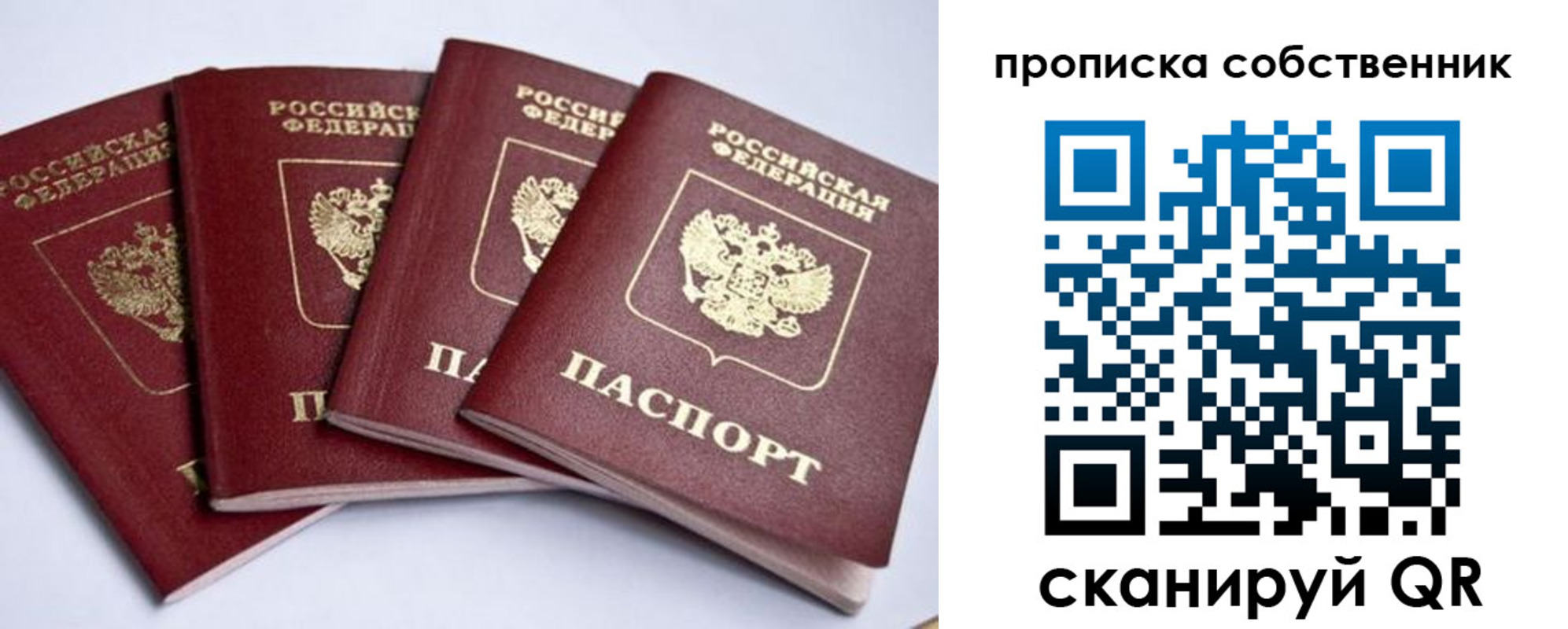 прописка для школы в Железногорске
