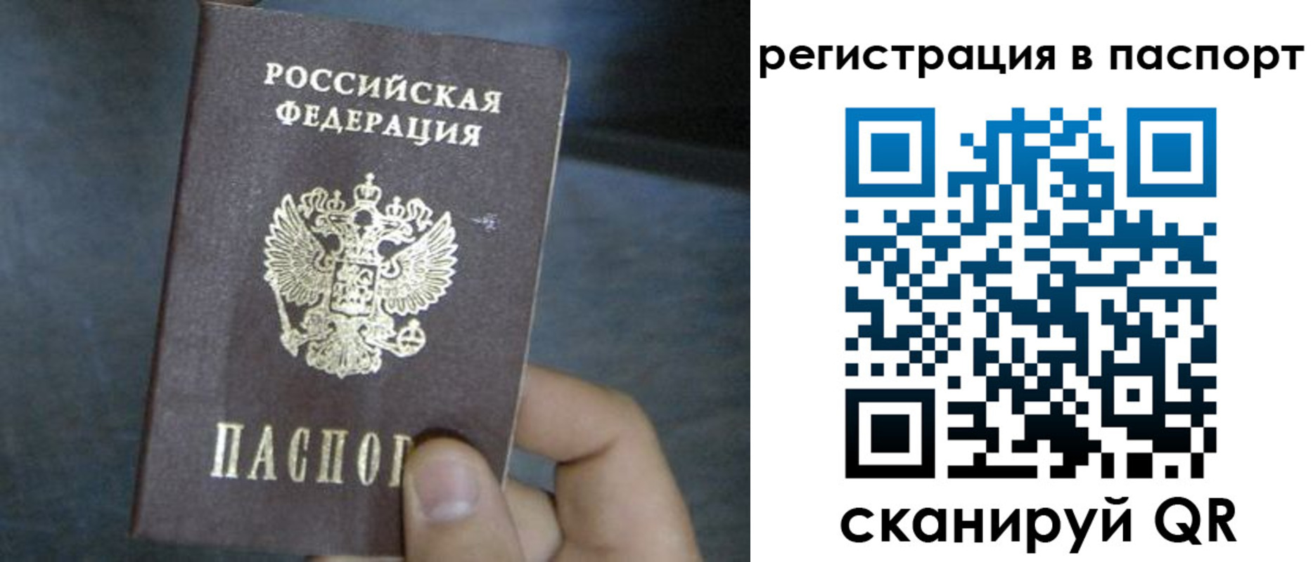 прописка 2025 в Железногорске